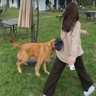 警之光第二季